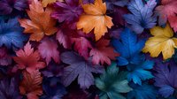 Vibrant autumn maple leaves in rich purple, orange, blue, and yellow hues create dramatic seasonal pattern. Natural organic shapes form colorful botanical composition.