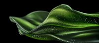 Flowing green silk fabric with water droplets creates elegant waves and folds against dark background, capturing light and texture in macro photography.