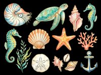 Nautical sea life collection featuring isolated marine creatures and ocean elements including seahorses, sea turtle, starfish, shells, coral, and anchor on transparent background. Ready for t-shirt designs, clipart, stickers, and print-on-demand products.