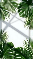 Tropical palm leaves and monstera frame with window shadow overlay on white background for summer design projects and natural botanical layouts.