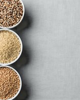 Assorted whole grains in white bowls on gray background with copy space for healthy cooking and nutrition concepts.