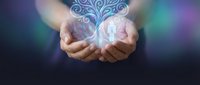 Cupped hands holding glowing ornate tree symbol with swirling branches against colorful bokeh background representing growth, life, nature and spiritual energy.