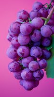 Fresh purple grape cluster with water drops on bright pink background, macro photography showing juicy texture and natural dewdrops on fruit surface.