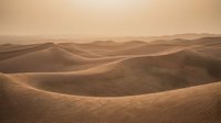 Golden sand dunes stretch endlessly across desert landscape with warm sunlight creating dramatic shadows and textures in arid wilderness environment.