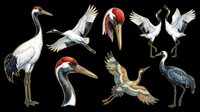 Crane and heron birds isolated on transparent background, ready for t-shirt design, clipart, stickers, sublimation and print-on-demand projects.