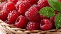 Fresh red raspberries with green mint leaves in wicker basket. Organic summer berries for healthy eating, desserts, smoothies and culinary projects.
