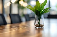 Green plant in glass vase on wooden conference table with blurred office chairs and bokeh background, modern minimalist business interior design setting.