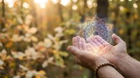 Hands holding glowing mandala symbol in nature forest setting, representing spirituality, meditation, healing energy and mindfulness practice outdoors.