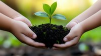 Hands protecting young green plant seedling growing from soil symbolizing environmental care, sustainability, growth, and nature conservation concept.