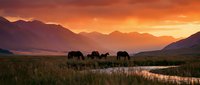 Elephants grazing in wetland valley at golden sunset with mountain backdrop, wildlife landscape for nature and travel content.