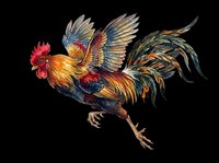 Colorful rooster with vibrant red, gold, and blue plumage isolated on transparent background, ready for t-shirt design, clipart, stickers, and print-on-demand products.