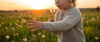 Young child in knit sweater reaching toward dandelions in meadow at golden sunset, capturing innocence and wonder of nature exploration.