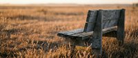 Weathered wooden fence post standing in dry golden grassland during autumn season, rural landscape photography.
