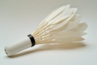 Badminton shuttlecock with white feathers and cork base isolated on neutral background, ready for sports and recreation design projects.
