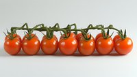 Fresh cherry tomatoes on vine arranged in straight line against light background, bright red color and green stems showing natural organic produce.