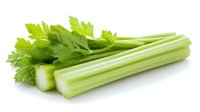Fresh green celery stalks with leaves isolated on white background, raw organic vegetable for healthy eating and cooking.