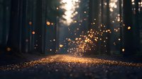 Magical forest path illuminated by glowing particles floating in misty air at sunset, creating ethereal atmosphere with bokeh light effects and dark moody woodland background.
