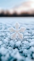 Delicate snowflake crystal with intricate patterns captured in macro photography against frosty winter background, showcasing nature's geometric symmetry in cold weather.