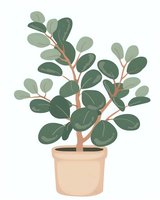 Minimalist potted plant with round green leaves on brown stems in beige ceramic pot, isolated on white background for decorative prints and botanical designs.