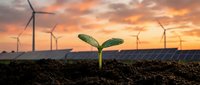 Green seedling sprouting from rich soil with wind turbines at sunset symbolizing renewable energy growth and environmental sustainability.