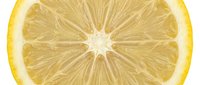 Fresh lemon slice close-up showing juicy segments, vibrant yellow pulp, and natural citrus texture on white background.