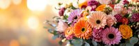 Vibrant mixed flower bouquet with gerbera daisies, roses and chrysanthemums in warm sunset light for celebrations, weddings and special occasions.