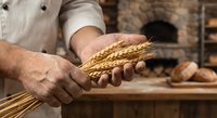 Baker hands holding golden wheat ears in artisan bakery with fresh bread loaves on wooden table. Traditional baking ingredients and craftsmanship concept.