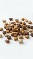 Pile of mixed dry pet food kibble in brown and beige tones scattered on white background, isolated for nutrition and pet care concepts.