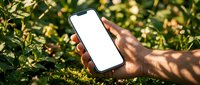 Hand holding smartphone with blank white screen outdoors in natural sunlight among green foliage for mockup and app presentation purposes.