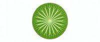 Isolated green lime slice with radiating segments on white background, ready for design use on packaging, web graphics, and marketing materials.