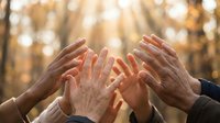 Diverse hands reaching together in warm sunlight creating unity and teamwork concept with golden autumn bokeh background for community projects.