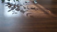 Scattered coins falling and casting shadows on wooden surface, creating dynamic light and shadow play for financial concepts.