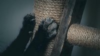 Thick nautical rope wrapped around weathered wooden post creating rustic maritime texture with natural fiber details and aged wood grain patterns.