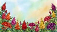 Watercolor celosia flowers border with vibrant red, orange, yellow, pink and purple blooms on soft gradient background, copy space.
