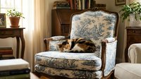 Calico cat resting on vintage upholstered armchair with toile pattern in traditional home library setting with wooden furniture and plants.