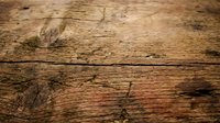 Weathered wooden surface with natural grain patterns and dark knots, showing aged texture and rustic character suitable for backgrounds and design projects.