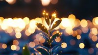 Young evergreen tree sapling illuminated by warm bokeh lights creating magical holiday atmosphere against dark blue background, festive winter nature.