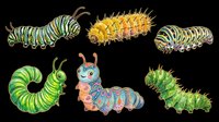 Colorful caterpillar clipart set, six cute crawling insects isolated on transparent background, ready for stickers, t-shirt design, print on demand, and sublimation.