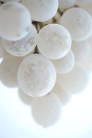 Fresh white grapes covered in natural bloom powder photographed in macro with soft focus and delicate shadows on light background.