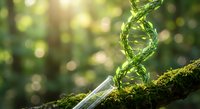 Green DNA double helix structure emerging from moss-covered surface with natural sunlight bokeh background representing genetics and biotechnology.
