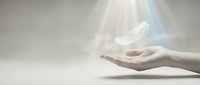 Open hands releasing white dove with ethereal light beams creating peaceful spiritual moment symbolizing freedom hope and divine connection.