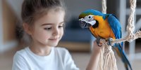 Young Caucasian girl in white shirt smiling while interacting with blue and gold macaw parrot perched on rope swing, creating tender moment of child and pet bonding.