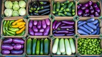 Fresh organic vegetables in wooden boxes at farmers market display. Colorful assortment includes purple eggplants, green zucchini, cucumbers, cabbage and yellow squash arranged neatly.