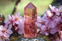 Pink crystal point with cherry blossoms on moss covered stone, spiritual healing stone in spring garden setting with soft natural lighting and bokeh background.