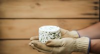 Hands in cream knit gloves holding fresh blue cheese wheel on wooden surface, suitable for food photography, culinary content, dairy product marketing, and gourmet cooking materials.