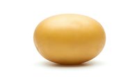 Single golden potato with smooth skin isolated on white background, suitable for food, nutrition, cooking, and grocery retail applications.