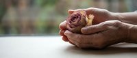 Gentle hands cradling delicate dried rose flower in protective gesture. Concept of care, fragility, preservation and tender moments in soft natural light.