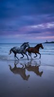 Two horses galloping along ocean shore at twilight with dramatic purple sky and water reflections creating romantic coastal scene for nature photography.