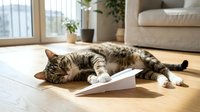 Tabby cat lying on wooden floor playing with paper airplane in sunny living room with furniture and plants.