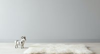 Small dog breed standing on wooden floor next to white fluffy cushion or pet bed against neutral gray wall background for home decor and pet care design projects.